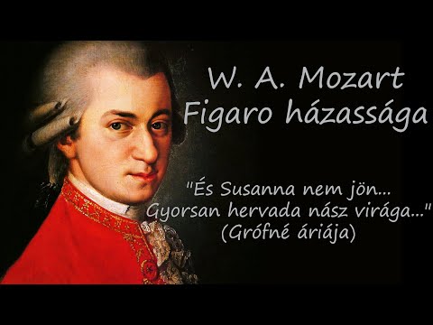 Máthé Beáta - W.A.Mozart: Figaro házassága - "És Susanna nem jön...Gyorsan hervad a nász virága..."