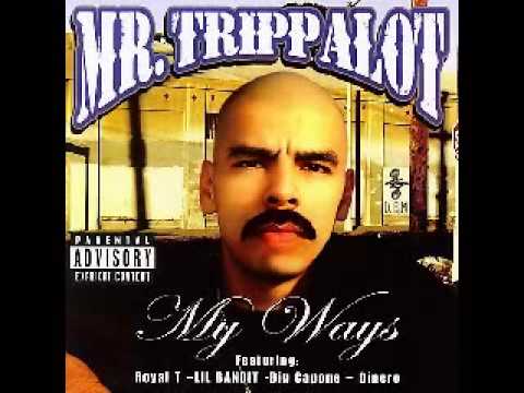 Ready or Not - Mr. Trippalot