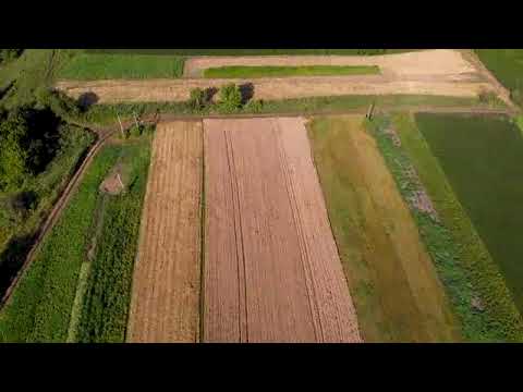 Champs fraîchement fauchés au coucher du soleil