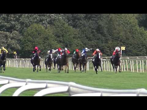 Ascot Renntag Hannover Neue Bult