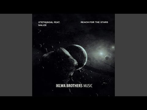 Reach For The Stars (feat. Nalize) (Orchestra Reprise Remix) (Remix)