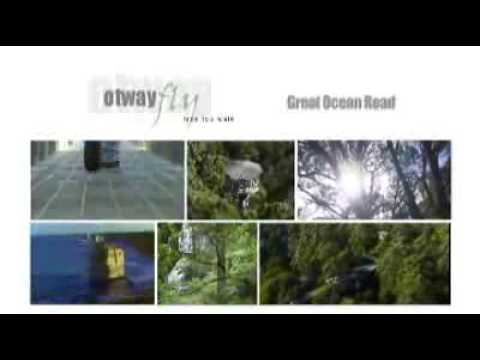 Otway Fly Treetop Adventures