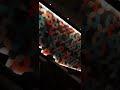 Sri Sakthi Cinemas Maltiplex Tiruppur Maayon Movie Cipi Sathyaraj Ilayaraja