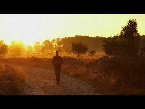 Wrzosowisko - Stare dobre małżeństwo (1990 i 2022)