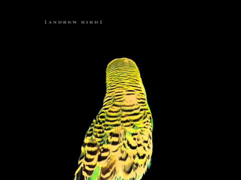 Andrew Bird - Armchair Apocrypha (Full Album)