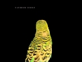 Andrew Bird - Armchair Apocrypha (Full Album)