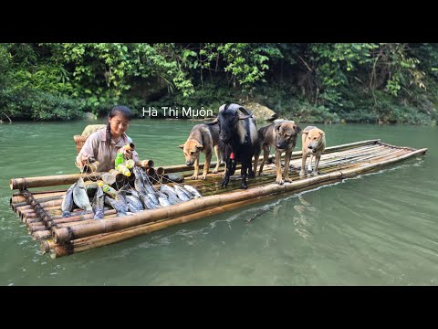 Vietnamese girl cooks for dogs, goats and goes fishing - ha thi muon