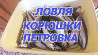 Все о рыбалке по приморскому краю