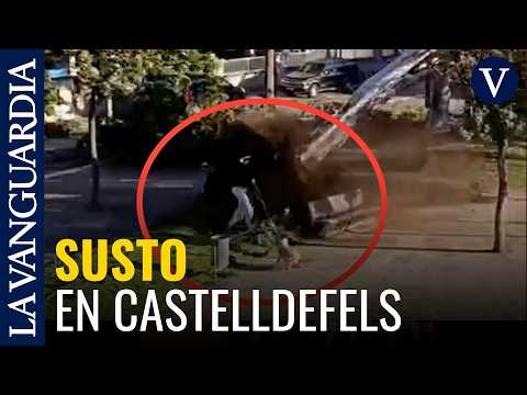 El susto de un hombre al que casi le cae un árbol encima en Castelldefels por las ráfagas de viento