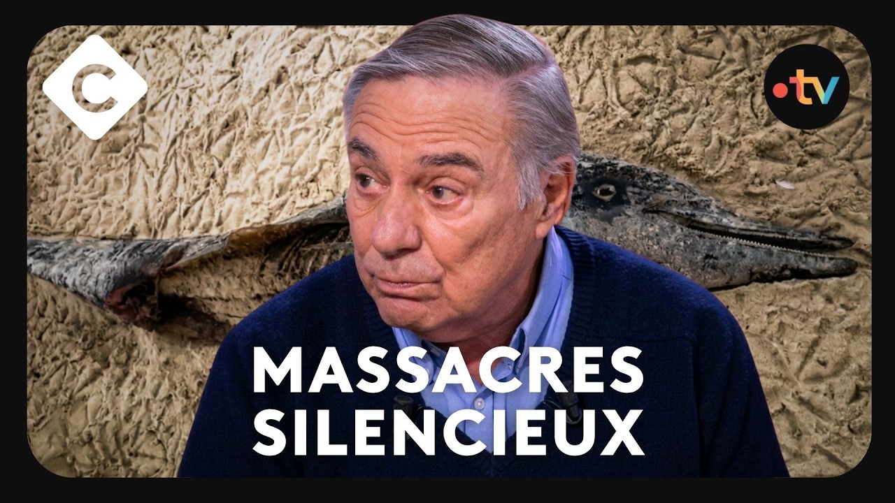 Dauphins, oiseaux : Le cri d'alarme d'Allain Bougrain-Dubourg