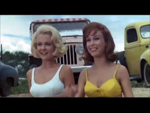 Ride The Wild Surf - Jan & Dean