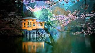 Los Yonics - Pero No Me Dejes Sin Ti