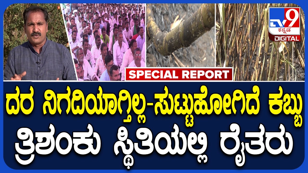 Farmers in Trouble: ತ್ರಿಶಂಕು ಸ್ಥಿತಿಯಲ್ಲಿ ಹಾವೇರಿ ಜಿಲ್ಲೆಯ ಕಬ್ಬು ಬೆಳೆಗಾರರು | #TV9D