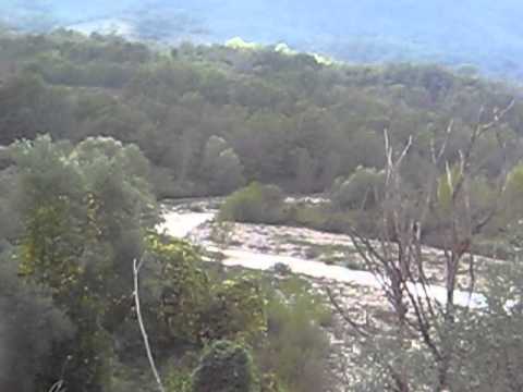 caccia al cinghiale a casalanguida