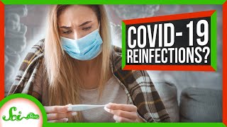 Does Getting COVID-19 Make You Immune to It? | SciShow News