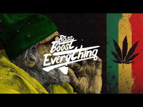 Snoop Dogg - Smoke Weed Everyday (Remix) [Bass Boosted]