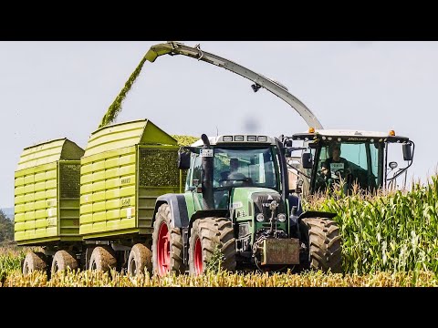 Claas Jaguar 950 beim Maisernte 2019 - Fendt 1042 Vario beim Grubbern