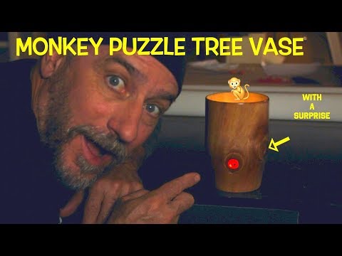 Turning a Vase using Monkey Puzzle Wood -  with a Surprise