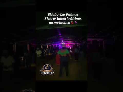 Jobo- Las Palmas #baile #tipicopanama #juventudtipiquera #tradiciones