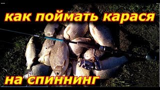 Как весной ловить карася на спиннинг