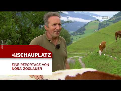 Am Schauplatz: Geld versetzt Berge [21.11.2019]