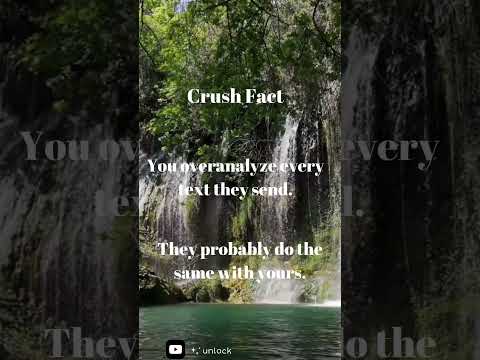 Reading Between the Digital Lines: Decoding Text Messages