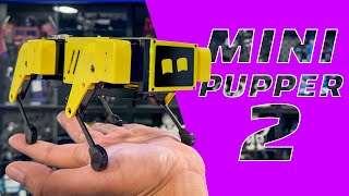 This Robot Dog can fit on your HAND! 👋 - Mini Pupper 2 Review