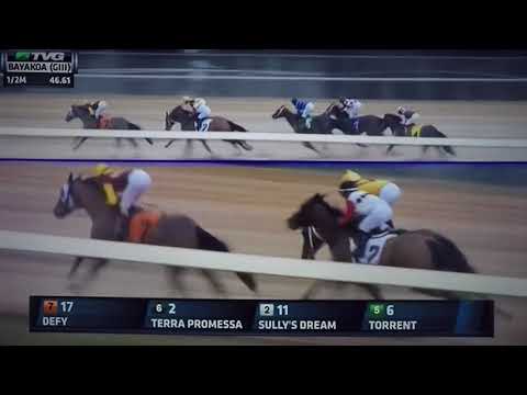 BAYAKOA (G 3) STAKES 2/17/18 - STREAMLINE !!