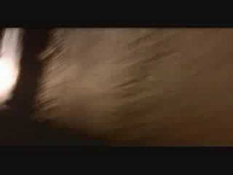 Gibonni - Posoljeni zrak i razlivena tinta [LIVE]