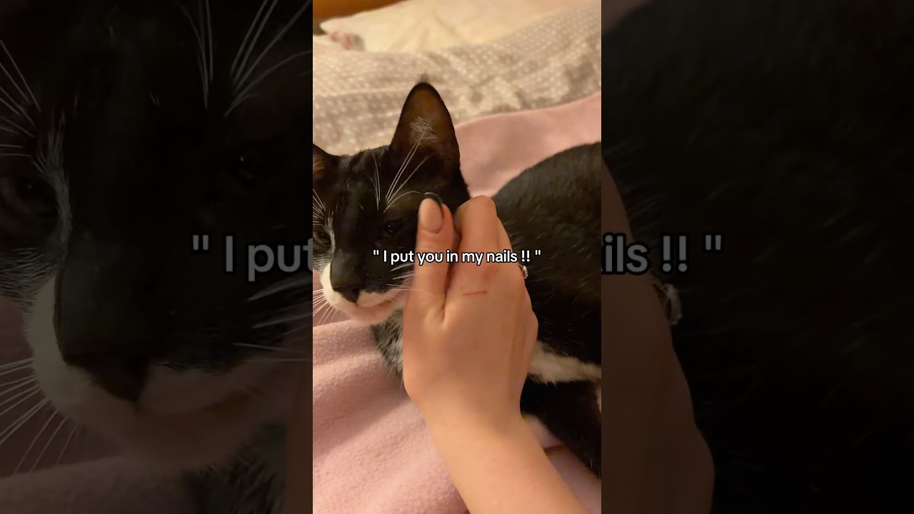 😕 #petloss #vent #fyp