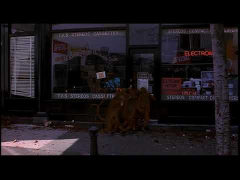 Jumanji 1995 Isolated Music Score 19