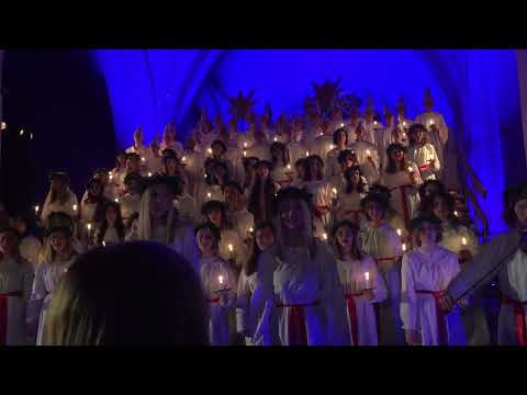 Koppången - Alice Nilsdotter