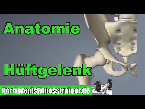 Anatomie Hüftgelenk - Wichtig für B-Lizenz Prüfung!