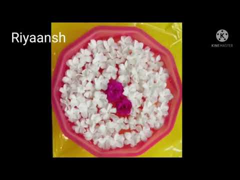 Daily Flowers Decoration Ideas 🌹🌺🌷🌸Video #18