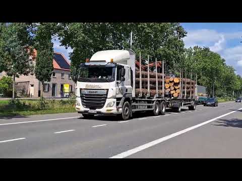 DAF CF 480 - Houthandel Muffels Leon