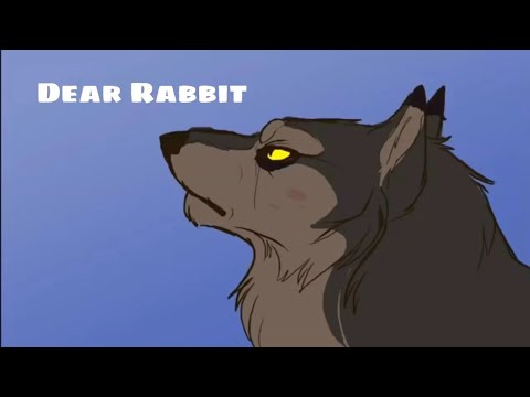 Dear Rabbit (Дорогой Кролик)