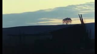 Barrie-James O'Neill ft. Lana Del Rey - Riverside