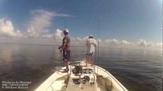 preview picture of video 'Choctawhwatchee Bay Fishing - Blue Moon Redfish and Blues'