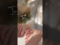 Tu Mera Hai Sanam Tu Hi Mera Humdam Tere Sang Jina Ab Sathoa Janm Love WhatsApp Status