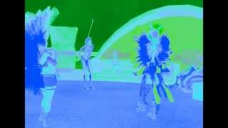 Ted Leo and the Pharmacists - Walking to do