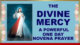 POWERFUL DIVINE MERCY NOVENA In One Day