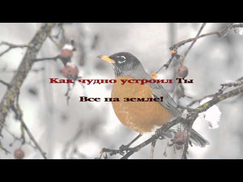 008. Из праха коры земной