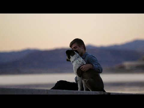 Pedigree – First Days Out