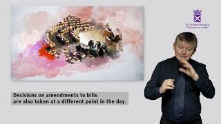 A Scottish Parliament Guide: Decision Time (BSL)...