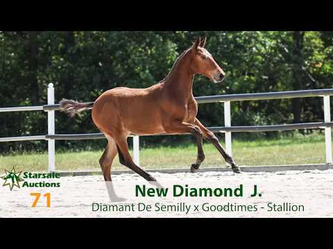 71. New Diamond J. (Diamant De Semilly x Goodtimes)