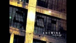 Entwine - Curtained Life