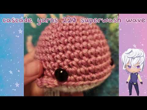 Yarn Review  cascade 220 superwash