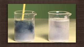 Action of saliva on starch | Digestion | Biology