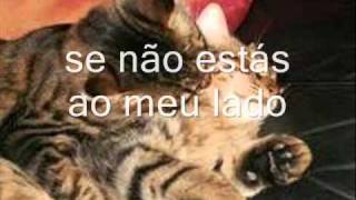 restos de abril   camila