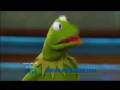 The Dr Phil Show Dr Phil And Kermit The Frog
